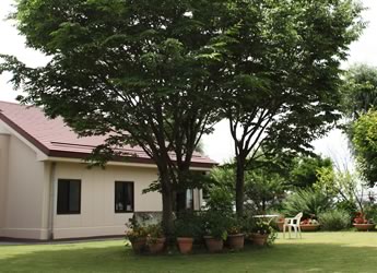 02 (1)